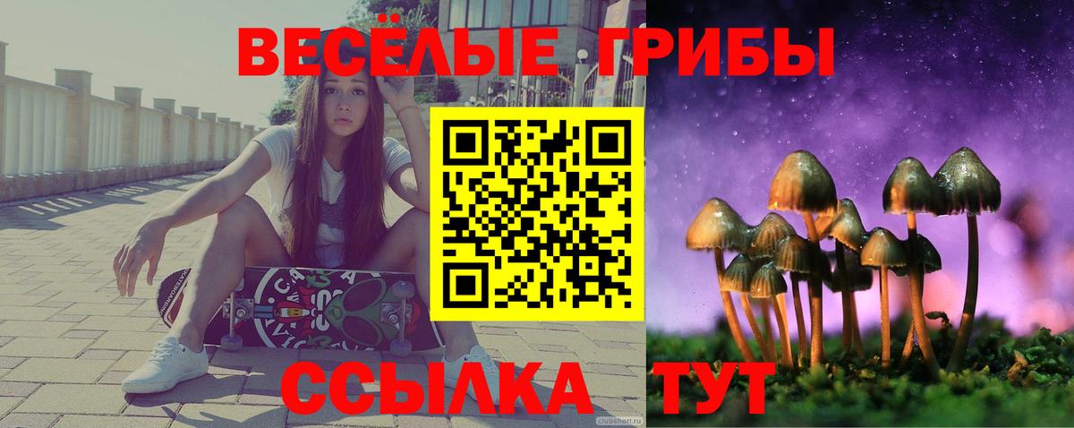 купить наркотик  Вход с VPN  Галлюциногенные грибы GOLDEN TEACHER  Барнаул  Галлюциногенные грибы MAGIC MUSHROOMS 